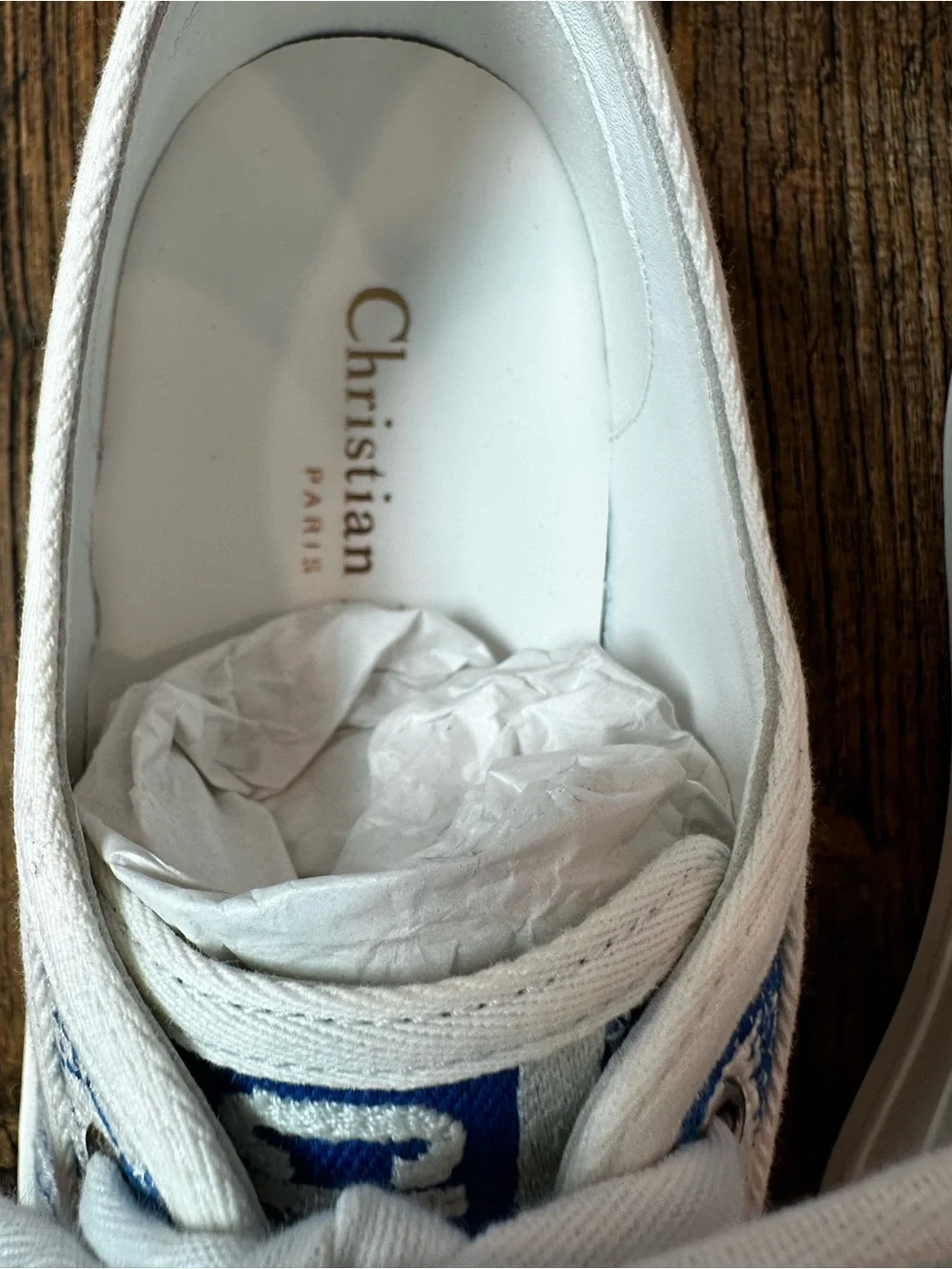 Dior White Canvas Low-Top Sneakers with Blue Toile Print